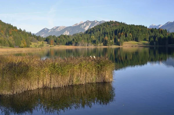 Před Karwendelem Geroldu Klais — Stock fotografie