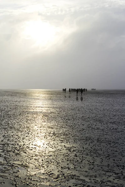 Issız Denizlerdeki Insanlar Gün Doğumunda Işığa Yaklaşırlar — Stok fotoğraf