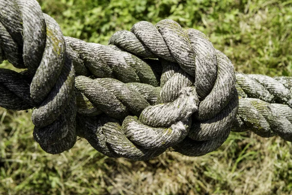 Rough Old Rope Big Knot Front Green Background — Stock Photo, Image