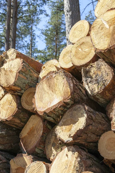 Vers Rijp Gemalen Kers Witte Achtergrond Foto Close Niet Geïsoleerd — Stockfoto