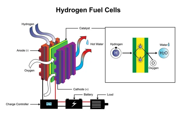 Hidrógeno Elemento Químico Con Símbolo Químico Número Atómico Vector Ilustración — Foto de Stock