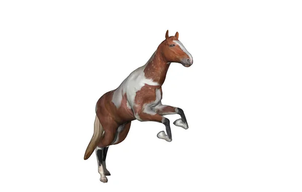 Dibujo Caballo Aislado Blanco — Foto de Stock