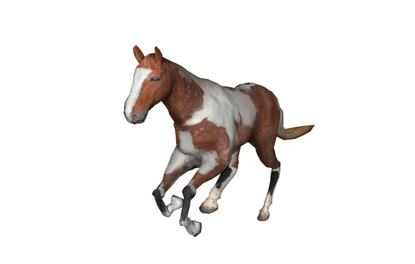Pferdezeichnung Isoliert Auf Weiß — Stockfoto