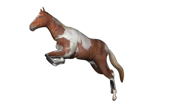 Paardentekening Geïsoleerd Wit — Stockfoto