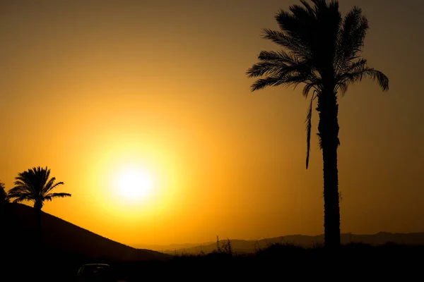 Goldener Andalusischer Sonnenuntergang Mit Silhouette Palmen Und Bergen — Stockfoto