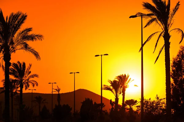 Atardecer Andaluz Naranja Con Siluetas Palmeras Farolas Montaña — Foto de Stock