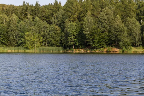 Vue Sur Étang Gondole Près Friedrichsbrunn Dans Harz — Photo