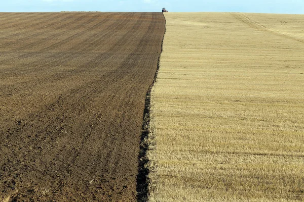 Vers Rijp Gemalen Kers Witte Achtergrond Foto Close Niet Geïsoleerd — Stockfoto