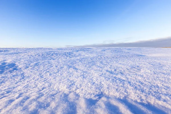 Champ Couvert Neige Pure Saison Hiver Arrière Plan Ciel Bleu — Photo