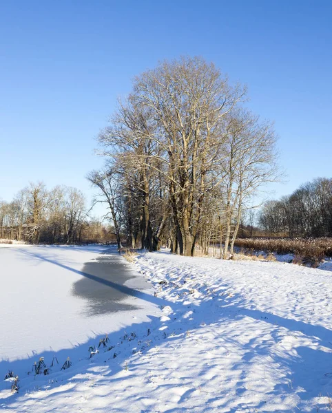 Park Der Wintersaison Mit Blauem Himmel Links Zugefrorener See Das — Stockfoto