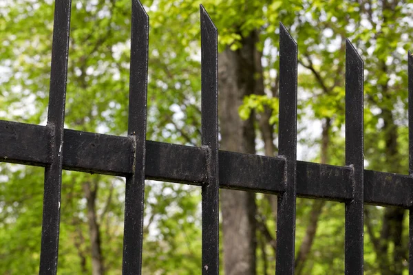 Schwarz Lackiert Alter Metallzaun Aus Eisenschienen Foto Nahaufnahme Fokus Der — Stockfoto