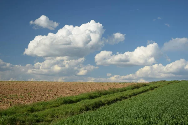 Droga Gruntowa Pole Ścieżka Pola Pole Ścieżka Krajobraz Rolnictwo Niebo — Zdjęcie stockowe