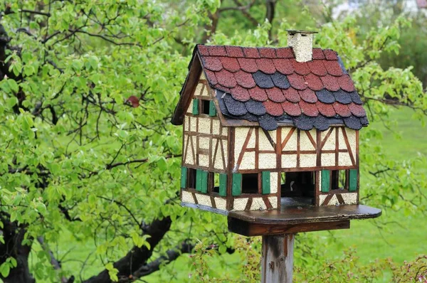 Altes Vogelhaus Als Rahmen Für Vögel Garten — Stockfoto