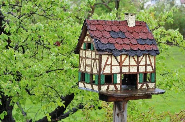 Ancien Nichoir Comme Cadre Pour Les Oiseaux Dans Jardin — Photo