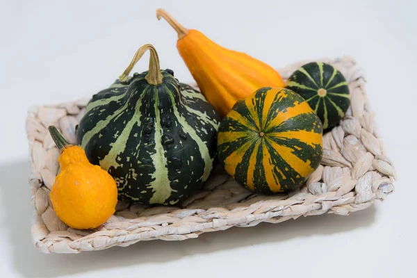 Veel Verschillende Kleurrijke Decoratieve Squashes Voorkant Van Witte Achtergrond — Stockfoto