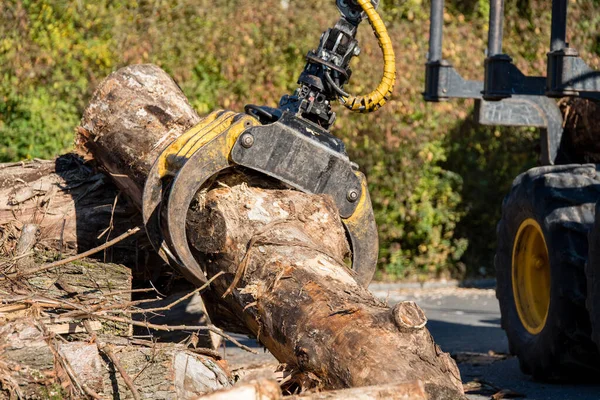 木材加工の木の幹を扱うクレーンのグリッパー — ストック写真