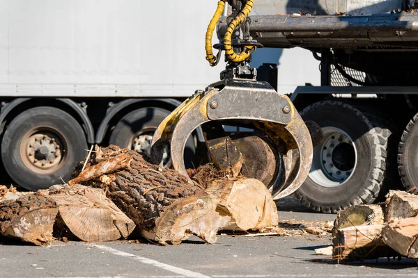 Gripper Jeřábu Pro Manipulaci Kmeny Stromů Při Zpracování Dřeva — Stock fotografie