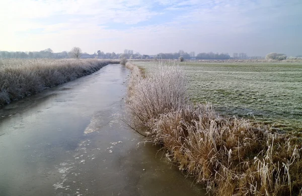 Winter Bij Wybelsumer Tief Oost Frisia — Stockfoto