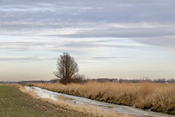 Ανατολική Frisia Ανατολική Friesland Είναι Μια Παράκτια Περιοχή Στα Βορειοδυτικά — Φωτογραφία Αρχείου