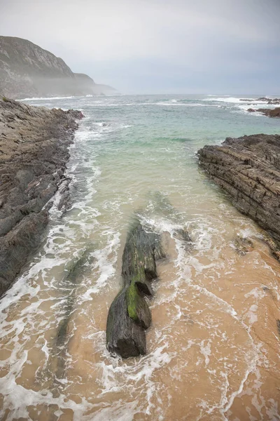 South Africa Spring — Stock Photo, Image