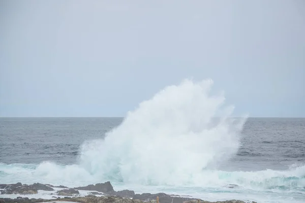 Zuid Afrika Het Voorjaar — Stockfoto