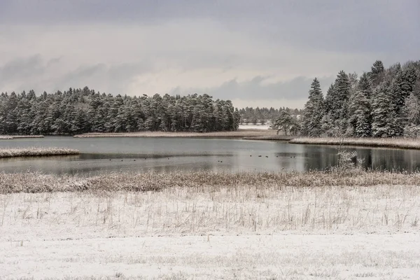 Início Inverno Sopé Testosterona Alpes — Fotografia de Stock