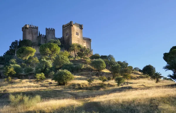 Castillo Almodovar Del Rio Andalúziában — Stock Fotó