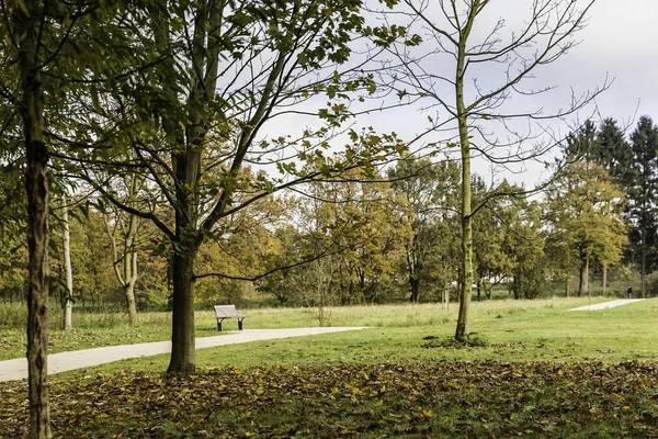 Parque Otoño Con Andadores Banco Parque Follaje Otoño — Foto de Stock