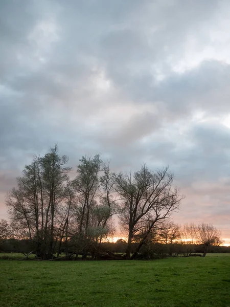 Malerischer Blick Auf Die Outdoor Szene — Stockfoto