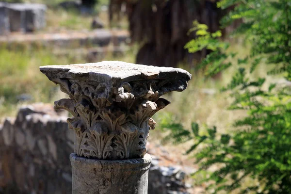 Ruins Ancient Agora Kos Island Dodecanese — Stock Photo, Image