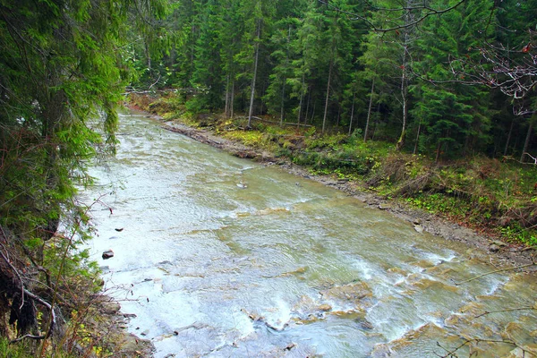 Hermoso Paisaje Con Velocidad Río Montañoso Bosque Las Montañas Los —  Fotos de Stock