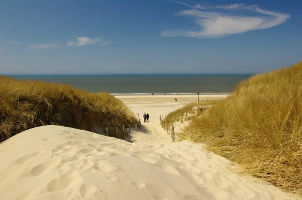 Dünenlandschaft Mit Blick Auf Die Nordsee Nordholland — Stockfoto