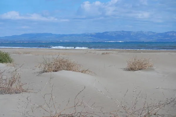 Sanddünen Naturpark Delta Ebre — Stockfoto