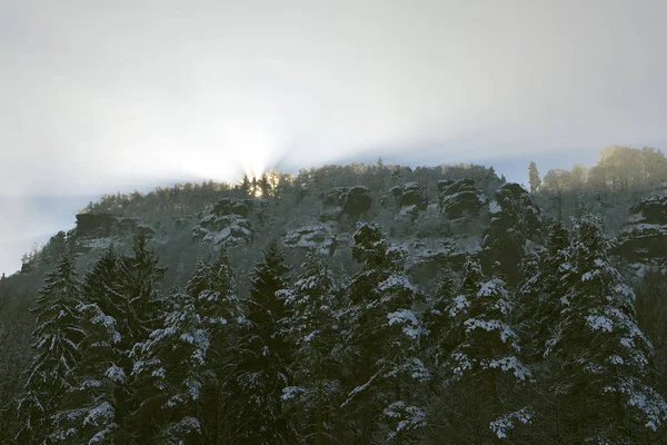 Lilienstein Ist Ein Markanter Berg Der Sächsischen Schweiz Sachsen Südostdeutschland — Stockfoto