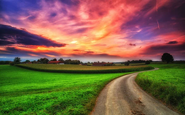 Por Sol Sobre Campo — Fotografia de Stock