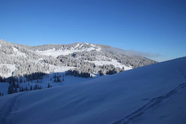 Paesaggio Invernale Vicino Baldersschwang — Foto Stock