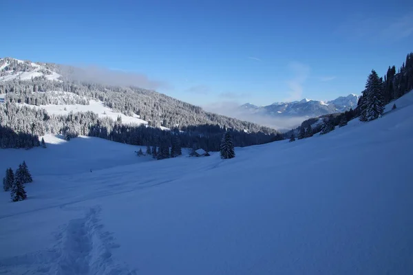 Winter Landscape Baldersschwang — Stock Photo, Image