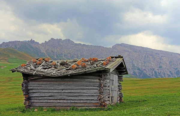 Ruine Einer Berghütte Auf Der Seiser Alm — Stockfoto