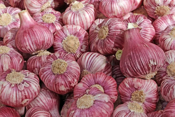 Rode Uien Boerenmarkt — Stockfoto