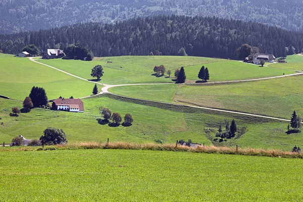 Het Schauinsland Bij Freiburg — Stockfoto