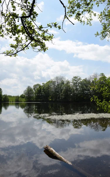 Postweiher Holzbach Stones Westerwald Lake Lake Pond Landscape Body Water — Foto de Stock