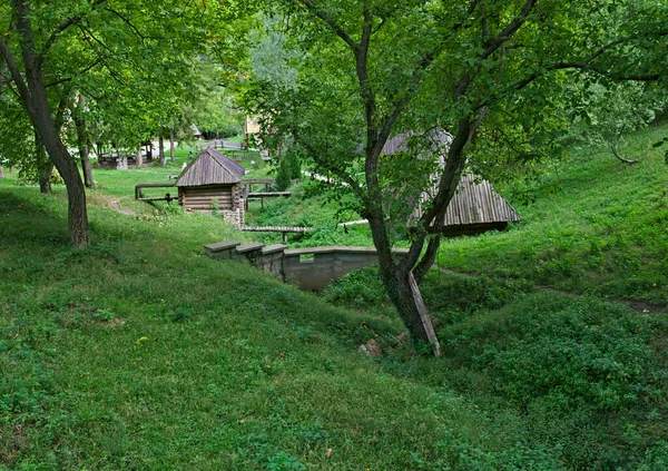 Podívejte Etno Vesnici Mezi Stromy — Stock fotografie