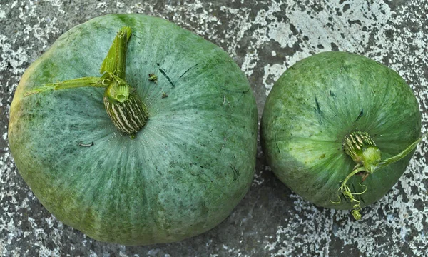 Still Green Pumpkin Early Harvested — Stock Photo, Image