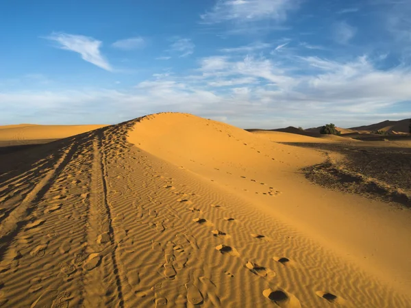 에르그 언덕이 숨막힐 정도로 아름다운 아름다운 사막중 — 스톡 사진