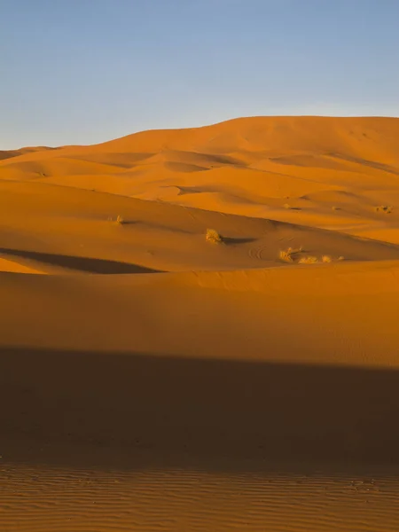 Erg Chubby Μία Από Τις Μαγευτικές Όμορφες Αμμοθίνες Τους Ψηλούς — Φωτογραφία Αρχείου