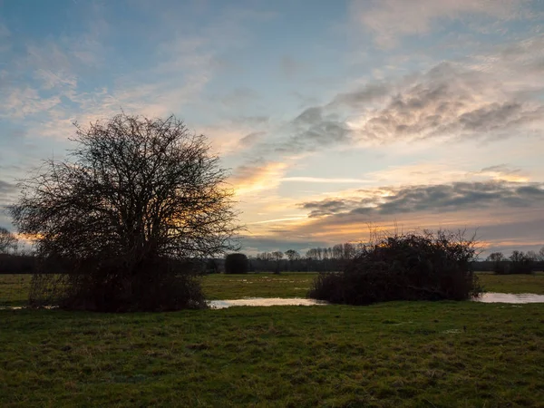 Vide Herbe Humide Champ Faible Lumière Coucher Soleil Paysage Dedham — Photo