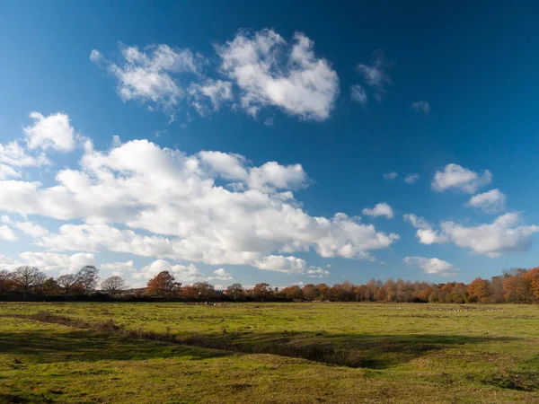 Білі Хмари Блакитне Відкрите Небо Простір Зелена Трава Наземна Ферма — стокове фото