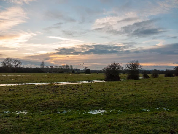 Leer Nasses Gras Feld Wenig Licht Sonnenuntergang Landschaft Dedham Ebene — Stockfoto