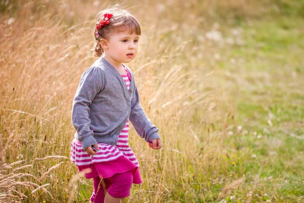 Bébé Fille Marche Parmi Herbe Haute Sur Une Prairie Automne — Photo