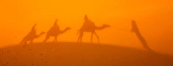 Ombre Une Caravane Sur Une Magnifique Dunes Sable Désert Sahara — Photo